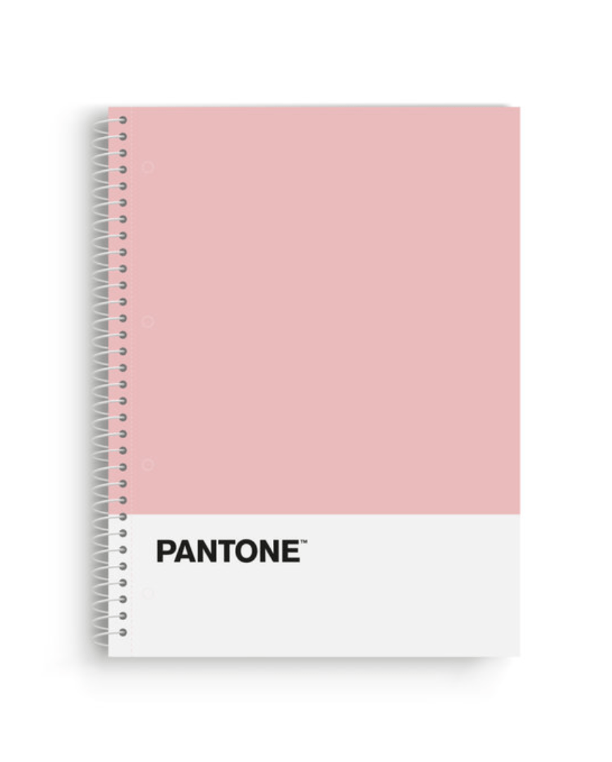 Bloc A4 Pantone Classic - Todo Pink