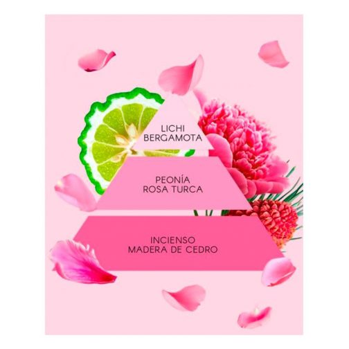 La vie en rose Don Algodón - Imagen 4