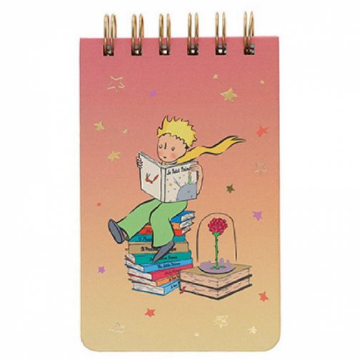 Mini cuaderno El principito