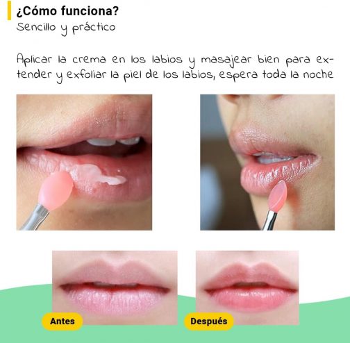 Mascarilla labial Fruit Company Tropical - Imagen 3
