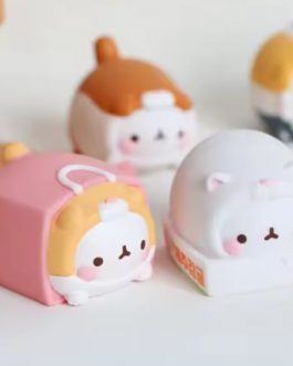 Caja sorpresa Molang