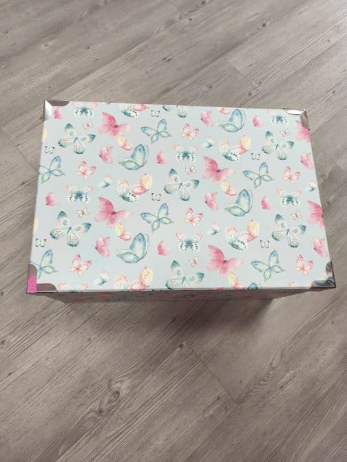 Caja almacenaje mariposas