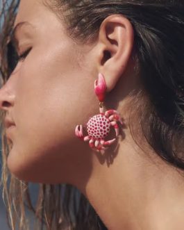 Pendientes cangrejo grandes