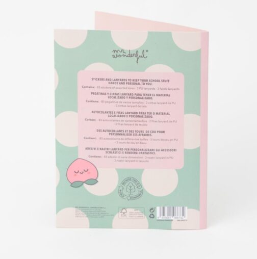 Stickers y lanyard Mr wonderful - Imagen 4