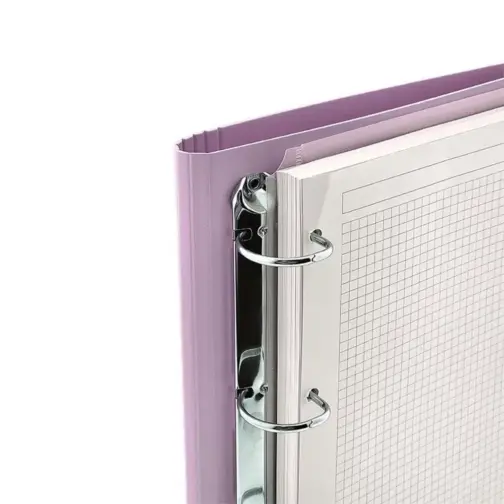 Carpebloc Pink Majesty Capibara - Imagen 4