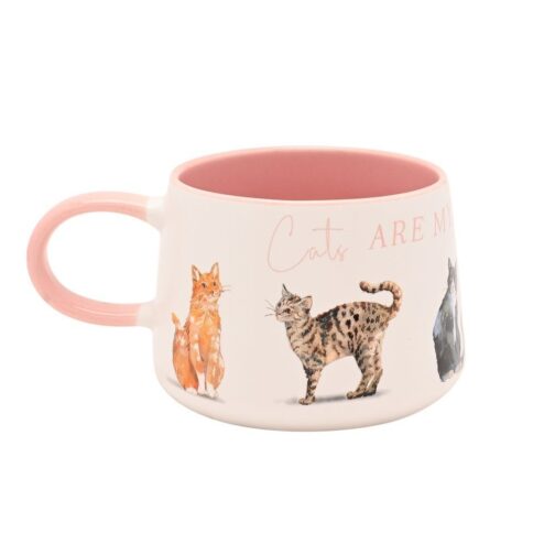 Taza gatos favoritos