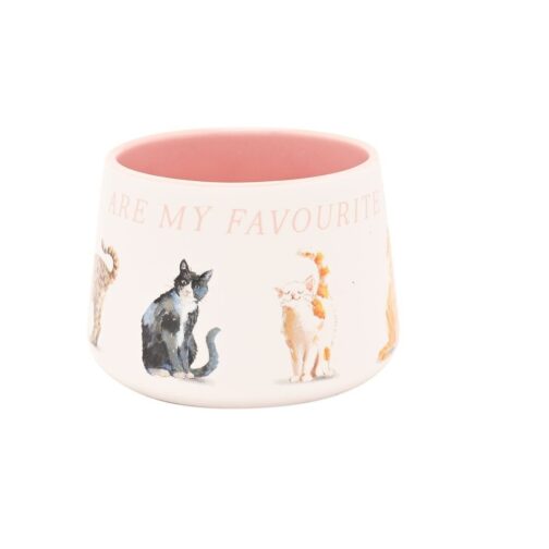 Taza gatos favoritos - Imagen 3