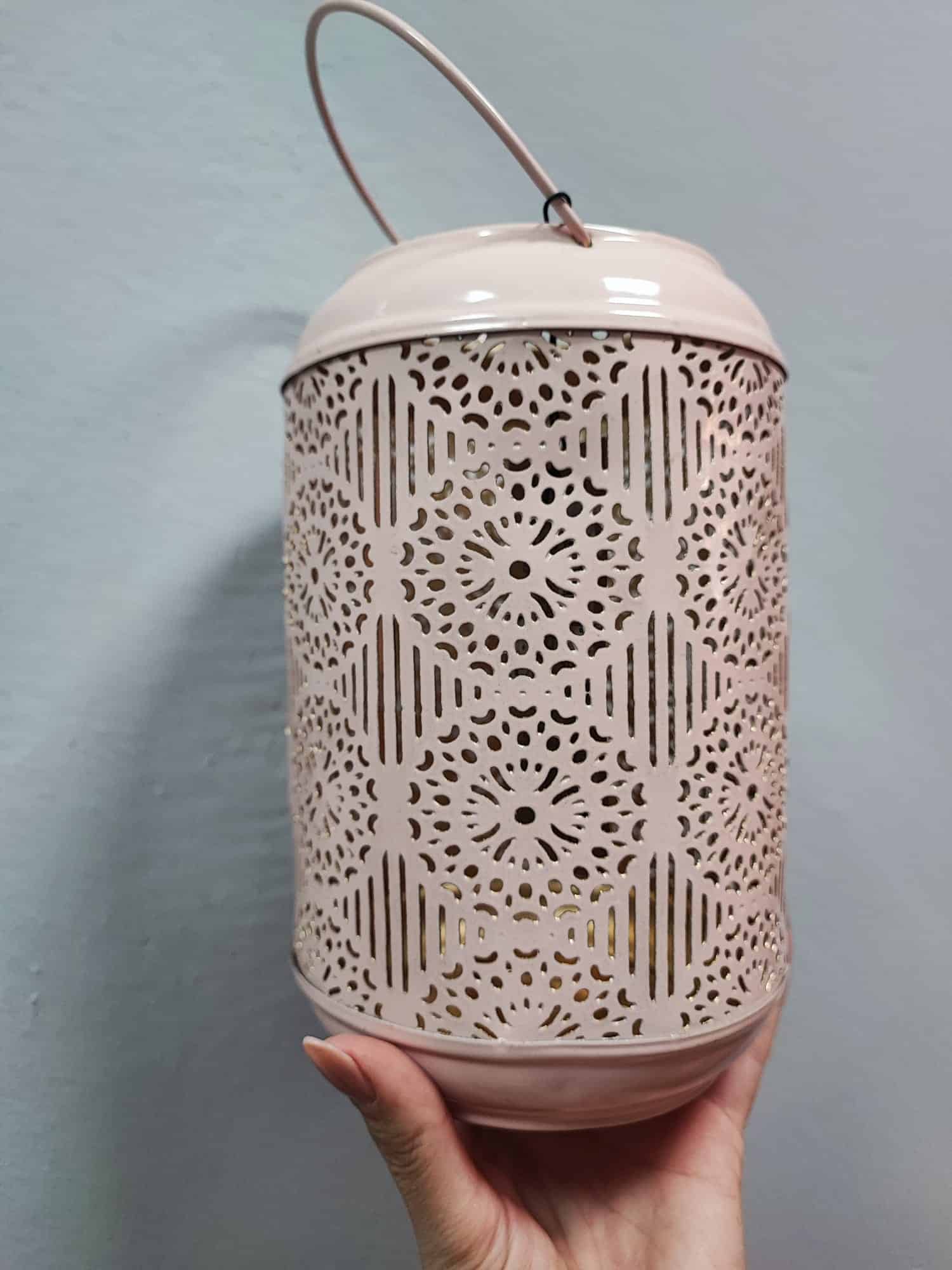 Farolillo rosa - Imagen 3