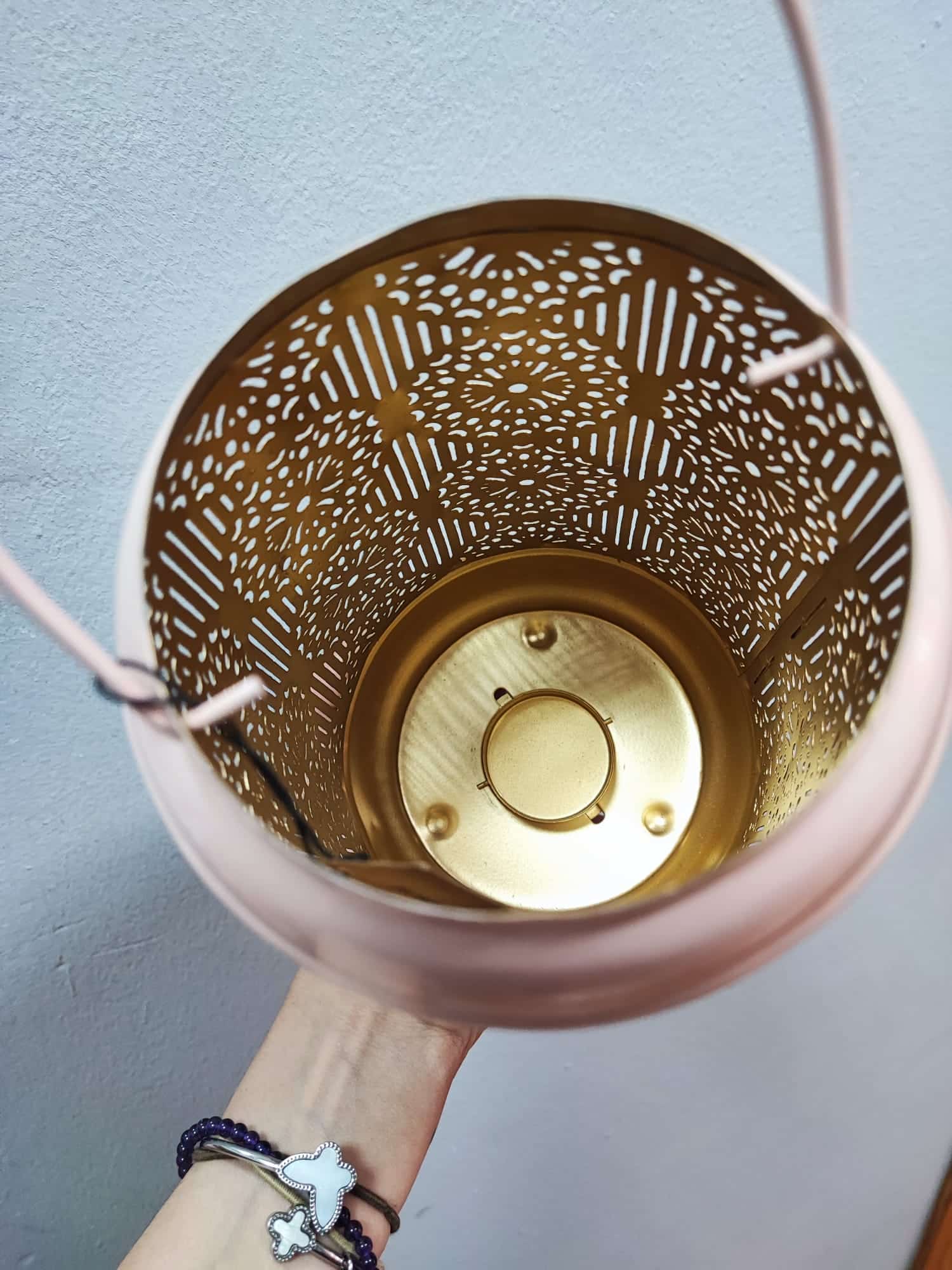 Farolillo rosa - Imagen 4