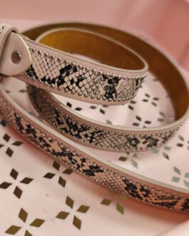 Cinturón tachuelas plateadas