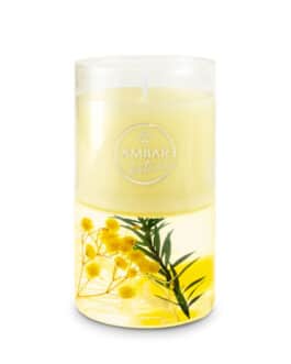 Vela cera y gelatina jazmíz blanco