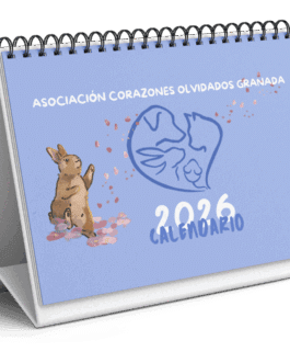 Calendarios Solidarios 2026 de Corazones Olvidados