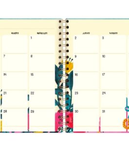 Agenda anual semana vista Cats