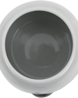 Taza koala Mr wonderful