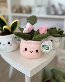 Plantita de peluche