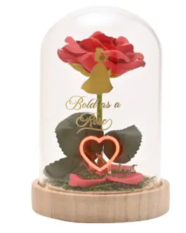 Cúpula cristal con luz Bella