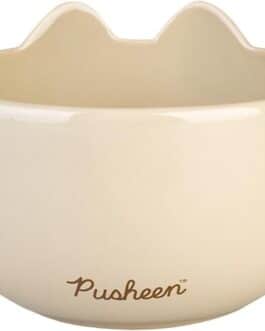 Bol ramen Pusheen