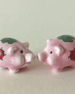 Cerdito de la suerte