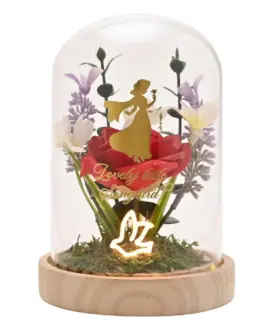 Cúpula cristal con luz Blancanieves