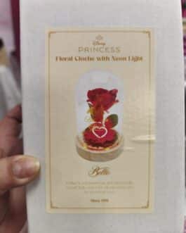 Cúpula cristal con luz Bella