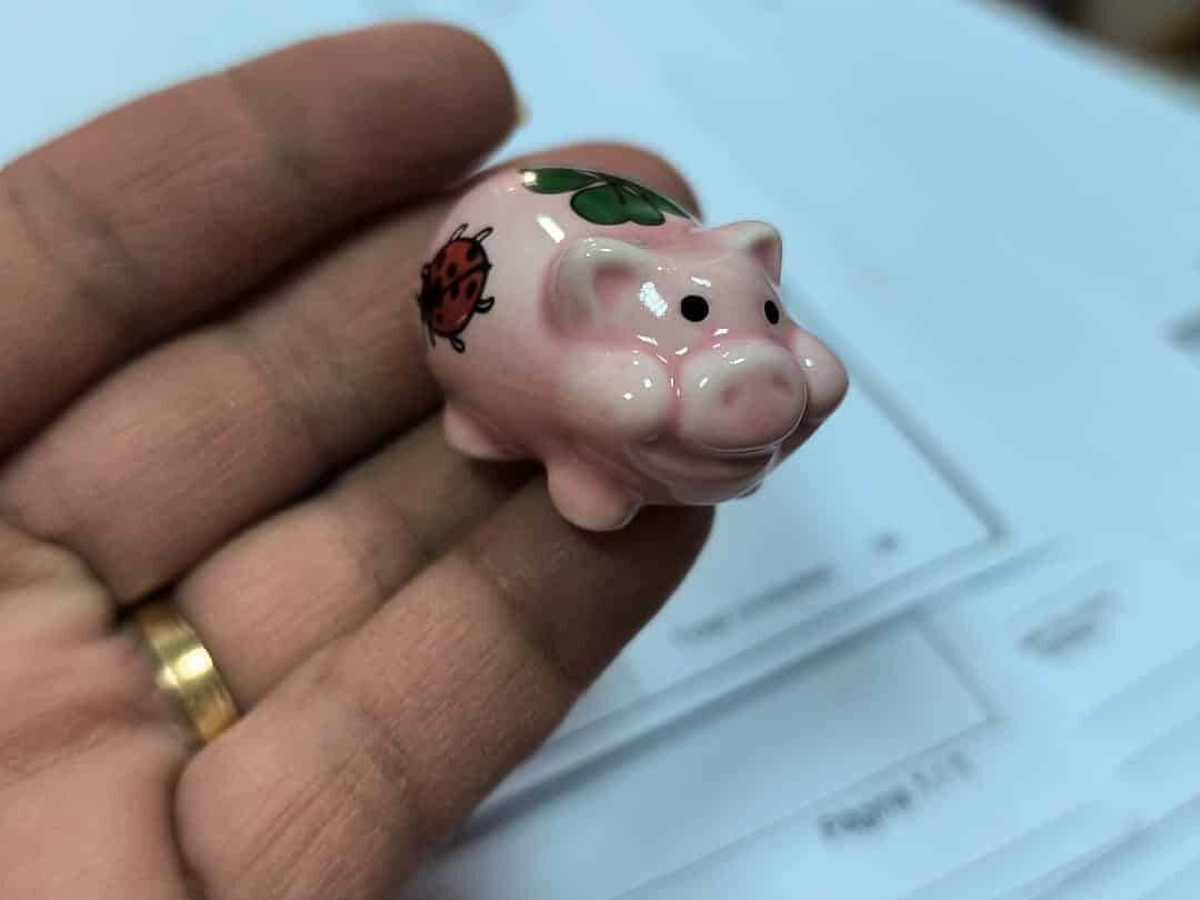 Cerdito de la suerte - Imagen 3