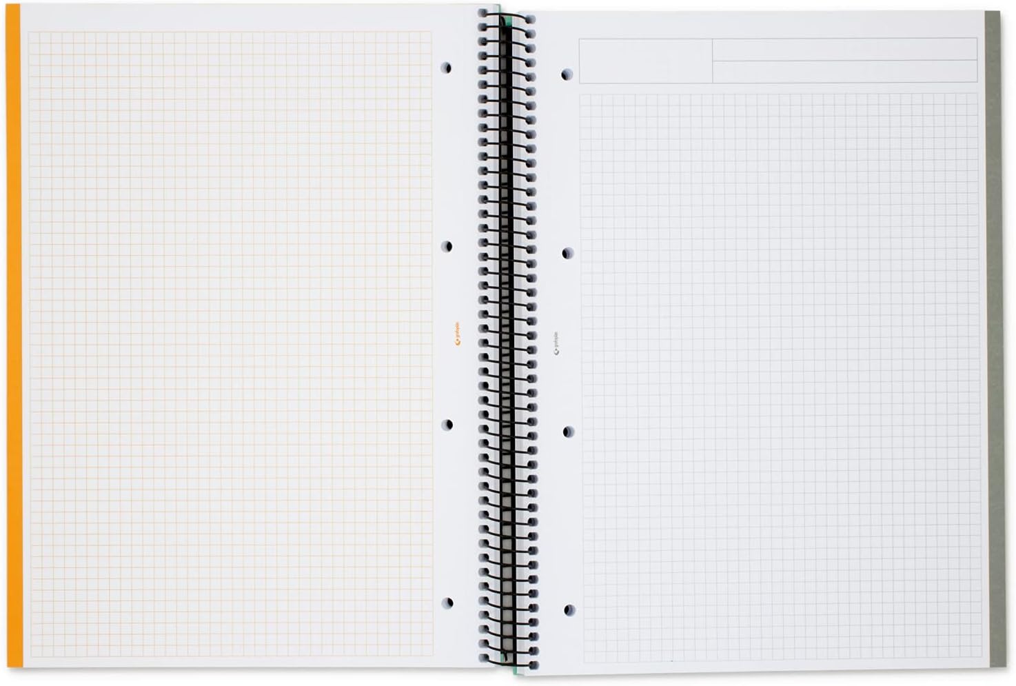 Libreta pitaya - Imagen 2