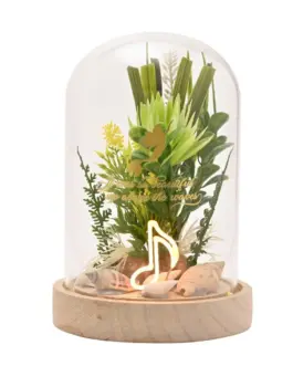 Cúpula cristal con luz Ariel