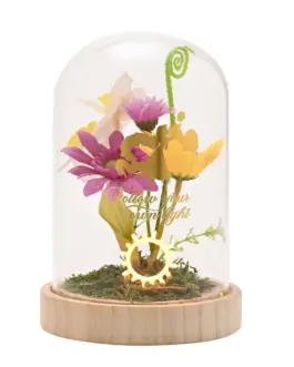 Cúpula cristal con luz Rapunzel