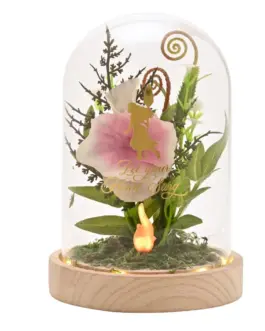 Cúpula cristal con luz Vaiana