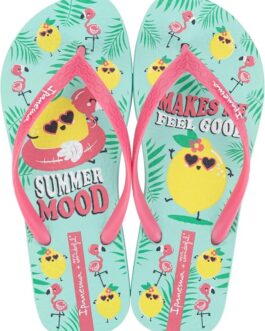 Chanclas Ipanema Mr wonderful