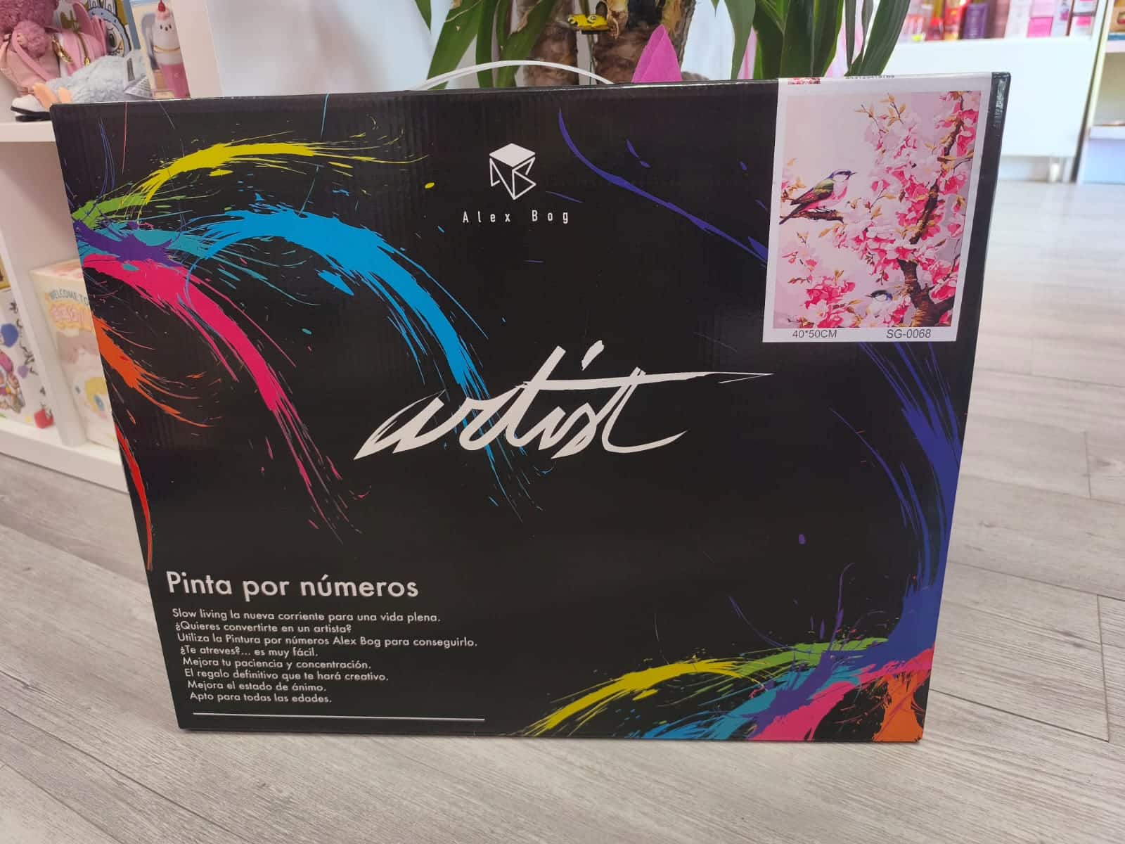 Cuadro pintar por números
