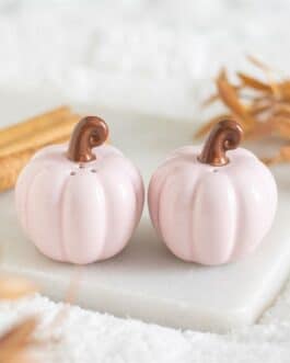 Salero y pimentero calabazas rosas