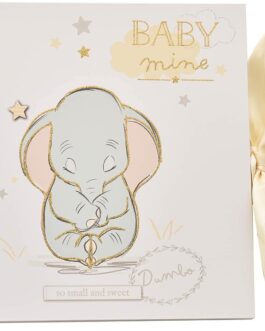 Álbum fotos bebé Dumbo