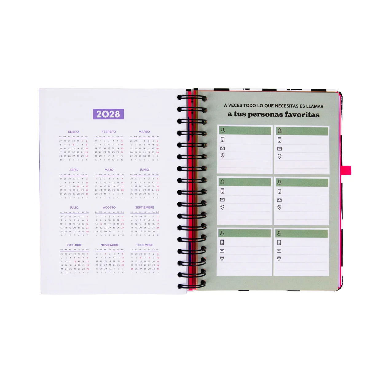 Agenda Mr. Wonderful Hoy sin prisa - Imagen 6